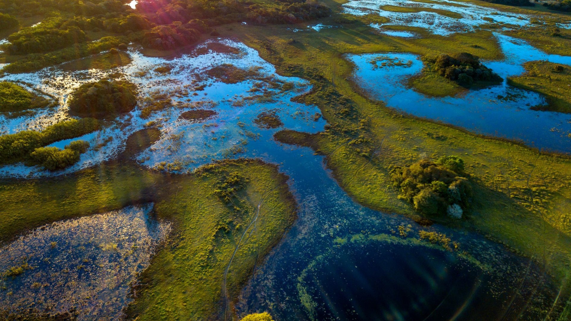 Impact Investing